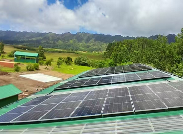 法属波利尼西亚“光伏+储能+柴发”微电网系统